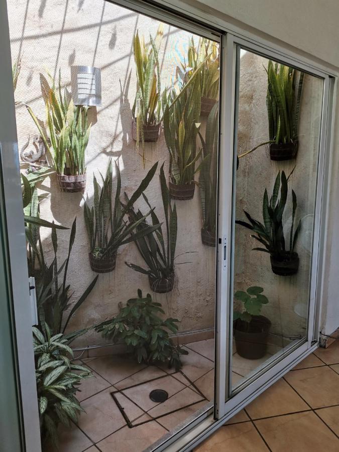 Casa Flor De Mayo テミスコ エクステリア 写真
